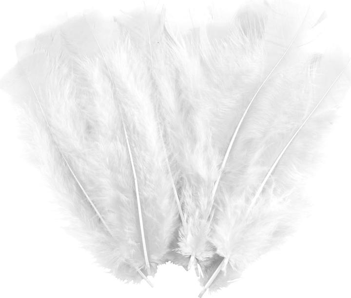 Immagine prodotto Natura Punto 35 piume artigianali morbide, bianche, lunghezza 17 cm