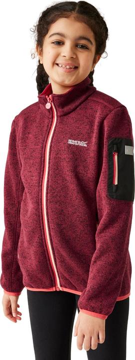 Actual product image Regatta Childrens/Kids Newhill Fleece Jacket (158)