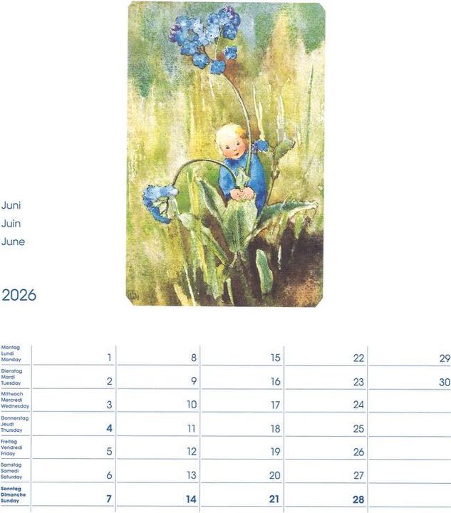 Produktbild Cosa Bildkalender Mili Weber (23 x 27 cm, Harter Einband, Deutsch, Französisch, Italienisch, Englisch)