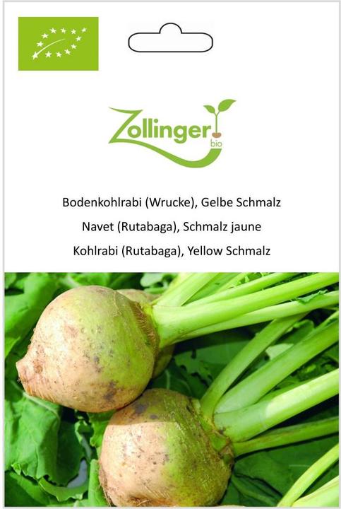 Produktbild Zollinger Bio Bodenkohlrabi (Wrucke), Gelbe Schmalz (Gemüsesamen)