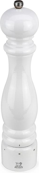 Peugeot Paris U-Select (Pepper)