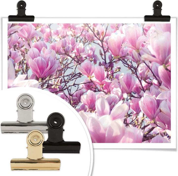 Immagine prodotto Trenddeko Albero di magnolia (30 x 24 cm)
