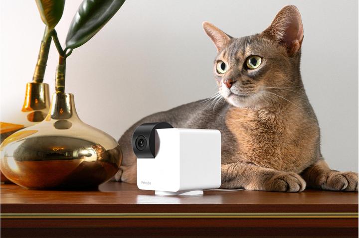 Produktbild Petcube Cam 360