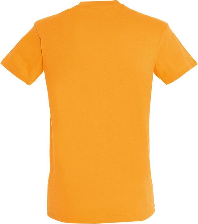 Actual product image Sols Mens Regent Short Sleeve T-Shirt (3XL)