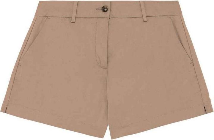 Wet Sand Brown