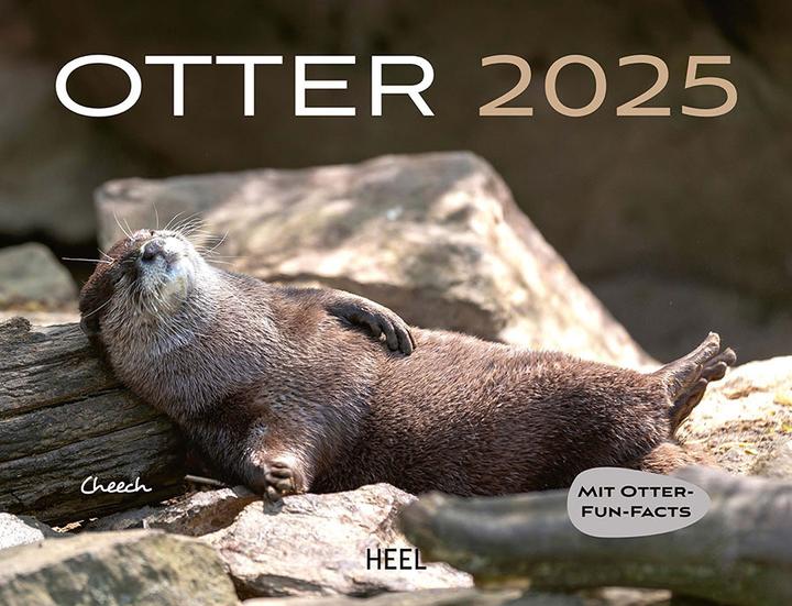 Immagine prodotto Calendario Lontra 2025 Calendario da parete (Tedesco)