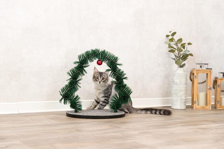 Image du produit Trixie Feuille de massage et de soin du pelage Xmas (Chat)