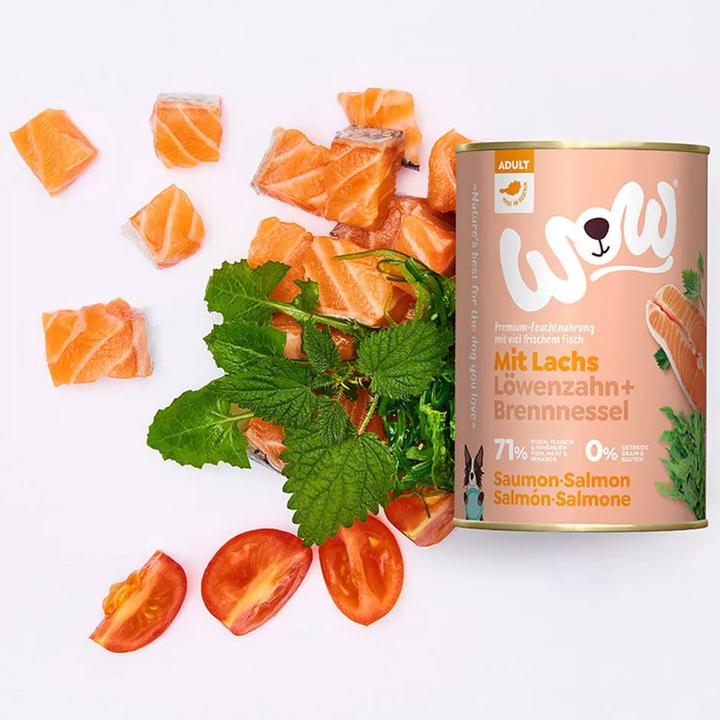 Produktbild WOW Adult, Lachs mit Tomate (Adult, 1 Stk., 400 g)