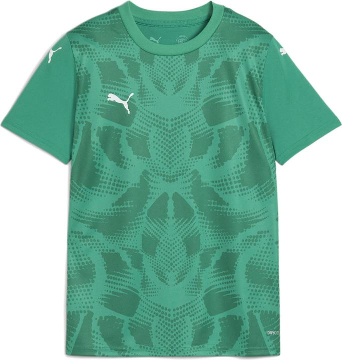 Puma teamULTIMATE Jersey Jr (164)