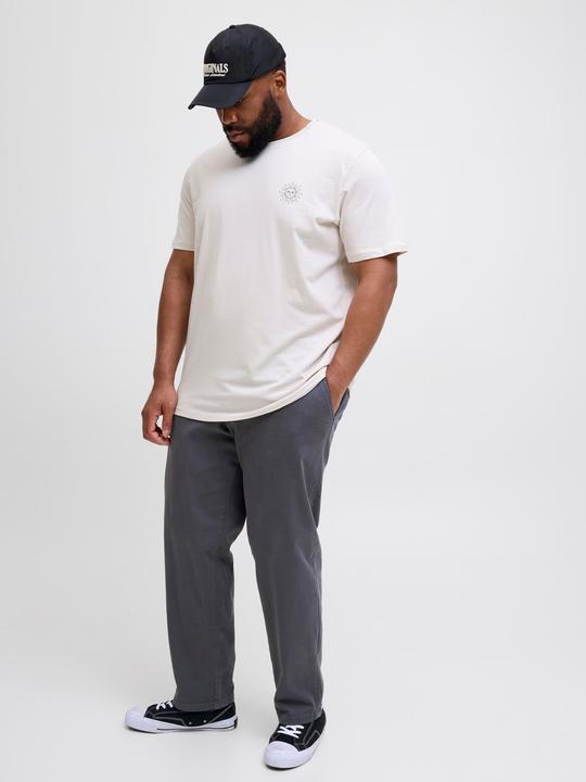 Produktbild Jack & Jones Jpstkane Fctry Fabric2 L2 Chino Pant Pls (W46/L34)