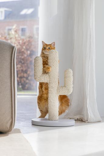 Actual product image Designed by Lotte Cactus (60 cm, White)