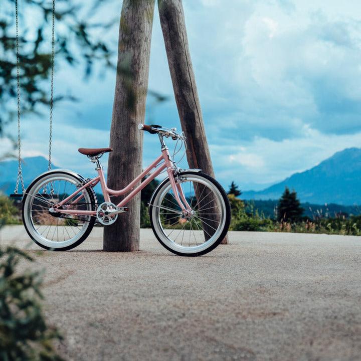 Immagine prodotto Siech Cycles Bicicletta per bambini (20")