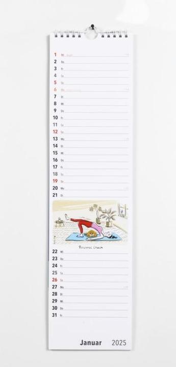Produktbild Fiese Bilder Streifenkalender 2025: Monatskalender für die Wand (Deutsch)