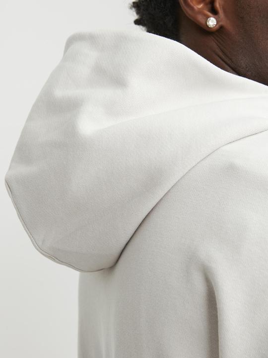 Image du produit Jack & Jones Sweat à capuche (L)