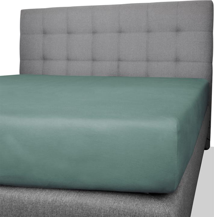 Actual product image Aspero 2 x Cotton fitted sheet - 8478 (100 x 200 x 25 cm, 90 x 200 x 25 cm)