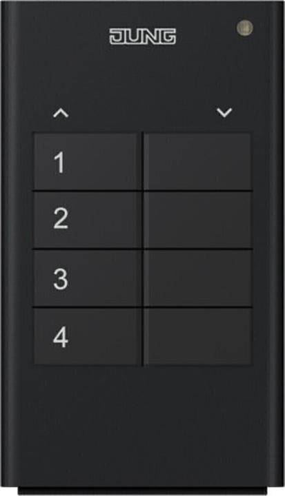 JUNG radiocomando a mano (Telecomando)