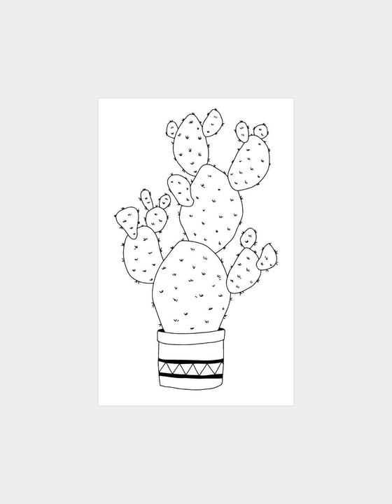 Image du produit May & Berry M&B Cactus