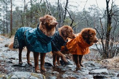 Actual product image Hurtta Monsoon Coat bilberry (65, Dog coat)