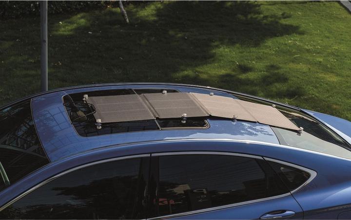 Actual product image EcoFlow Solar panel (110 W, 4 kg)