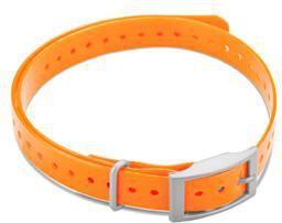Immagine prodotto Garmin Cinghia del collare con fibbia quadrata (3, Cane, Generale)