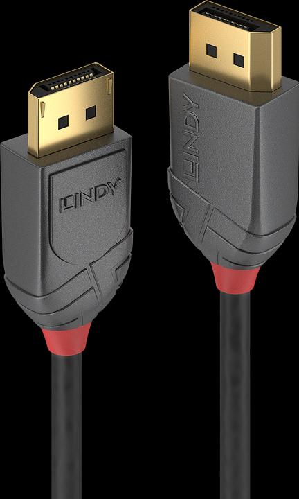 Lindy DisplayPort — DisplayPort (0.50 m, DisplayPort)