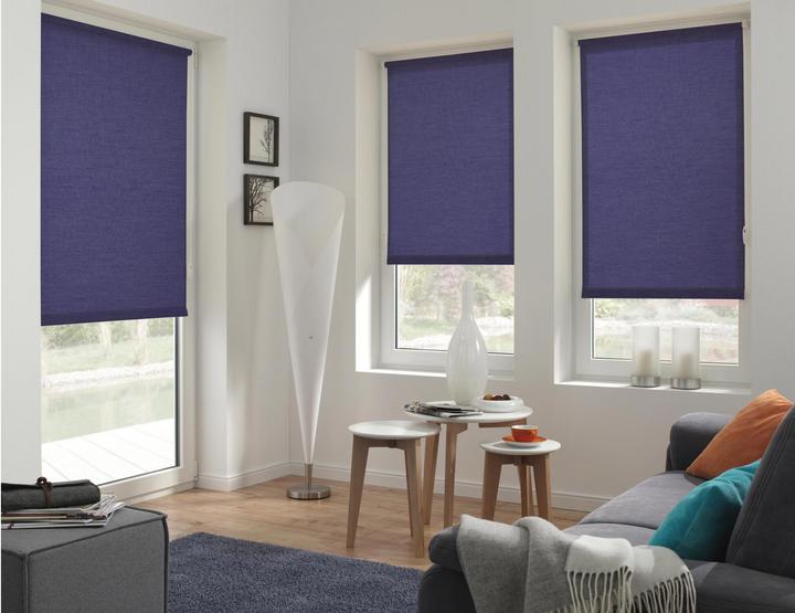Immagine prodotto Gardinia Tenda a rullo Uni (60 x 150 cm)