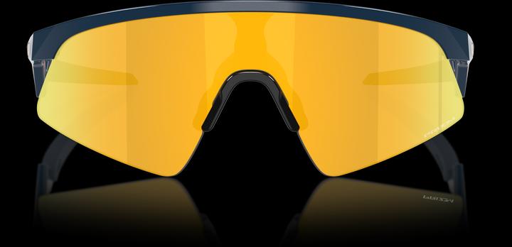 Actual product image Oakley Resistor Sweep