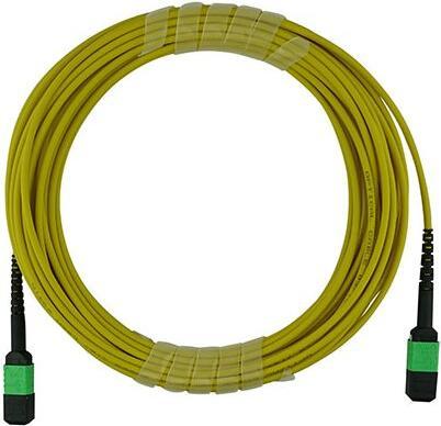 Actual product image BlueOptics Juniper MTP12-FF-S5M compatible MPO-MPO Singlemode OS2 patch cable 5 metres (5 m)