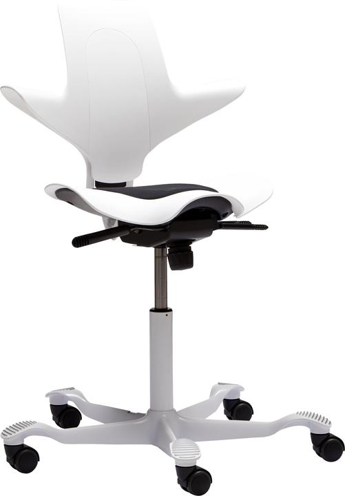 Image du produit HAG Capisco Puls 8010