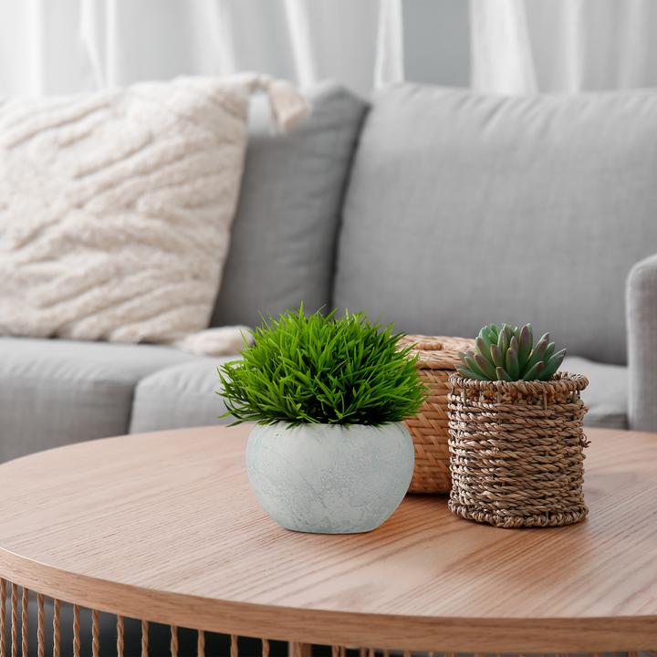 Actual product image Relaxdays 3x Artificial-Plants (12 cm)