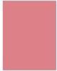 Actual product image Makeup Revolution Re-loaded (Ballerina)