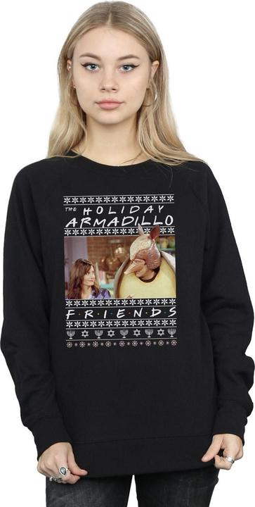 Actual product image Friends Womens/Ladies Fair Isle Holiday Armadillo Sweatshirt (L)
