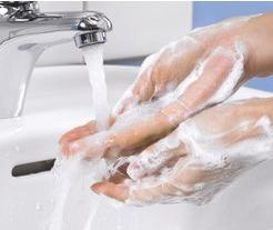 Image du produit Tork Savon mousse doux et parfumé pour les mains (525 ml)