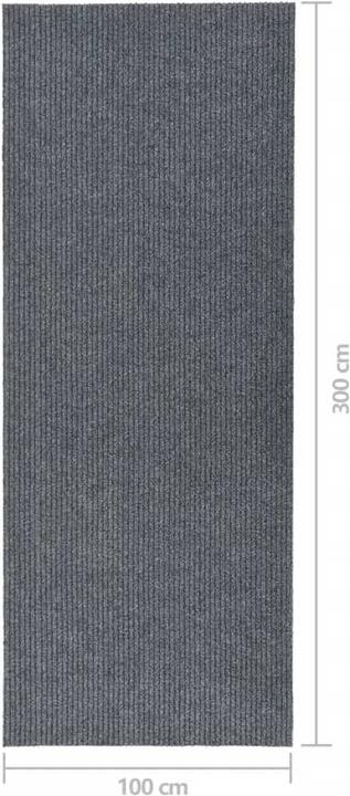 Immagine prodotto VidaXL Kasha (300 x 100 cm)