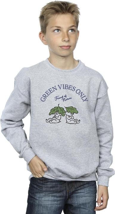 Immagine prodotto Disney Chip 'n Dale Green Vibes Only Felpa Ragazzi (104)