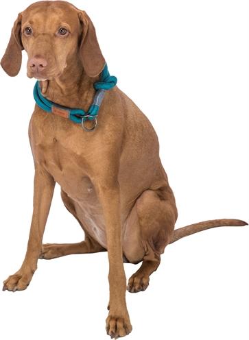 Produktbild Trixie BE NORDIC Zug-Stopp-Halsband (S, Hund, Hundesport)