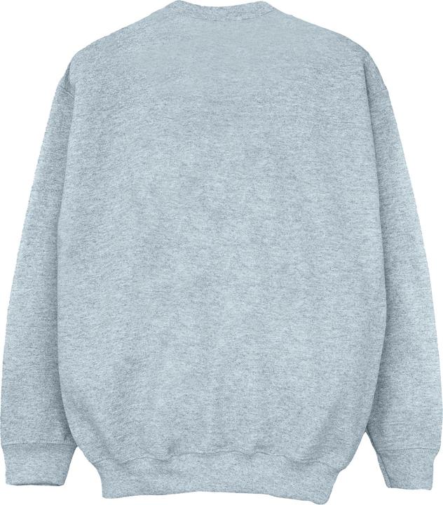Image du produit Disney - Sweat THE ARISTOCATS DOUBLE TROUBLE - Garçon (128)