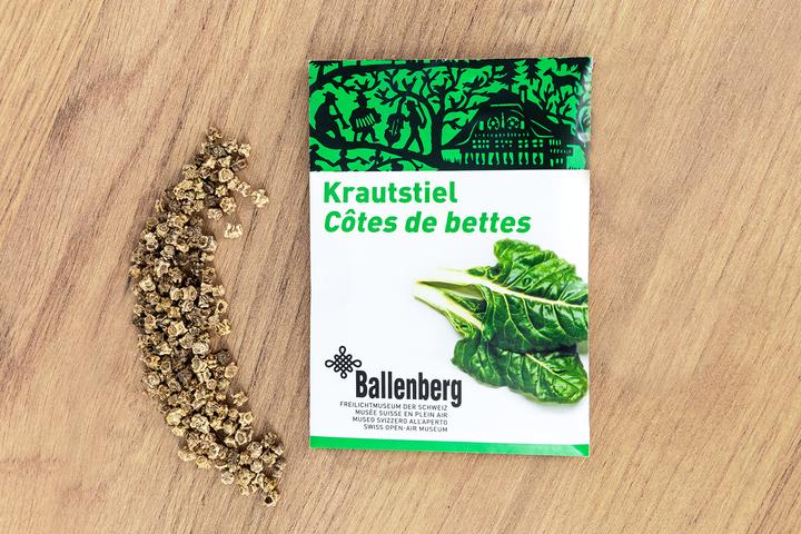 Produktbild Zollinger Bio Krautstiel, Genfer (Ballenberg-Edition) (Keimlinge)