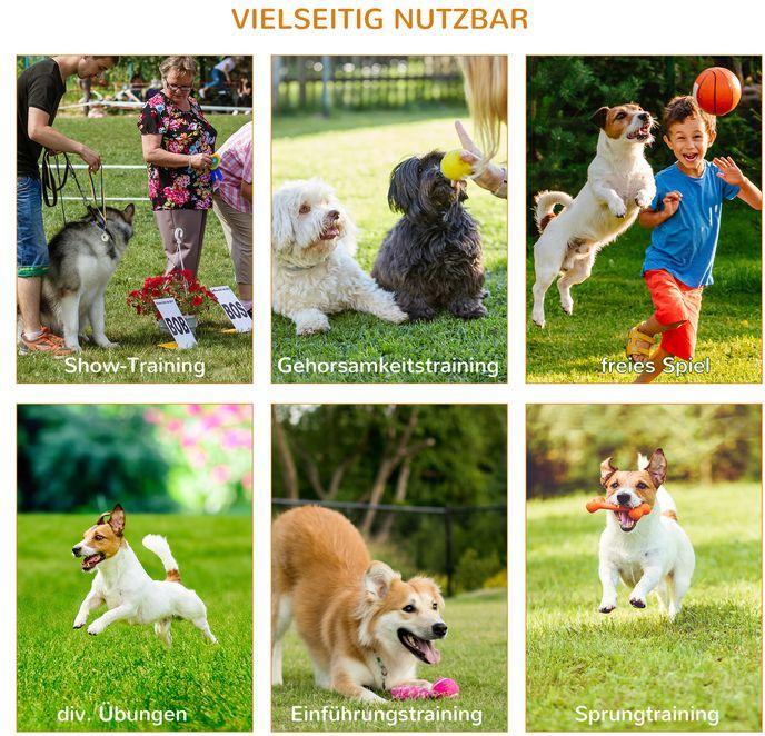 Actual product image Swisshandel24 Dog agility set 3-piece including bag white+yellow (Agility)