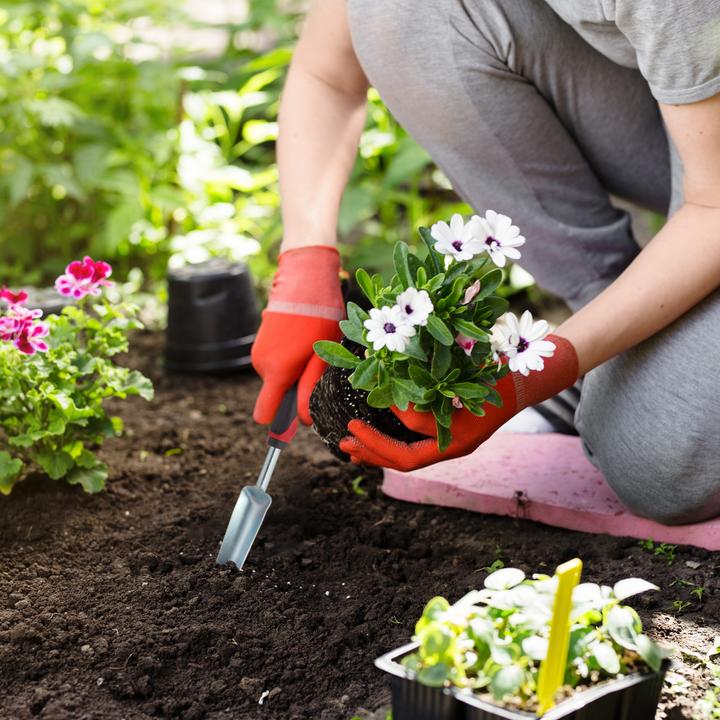 Actual product image Relaxdays Garden Weeder