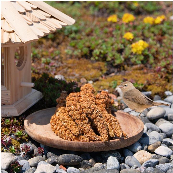 Image du produit Lyra Pet Millet en épi (1 x, 1 kg)