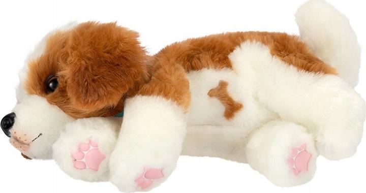 Produktbild Cobi Hund mit Transportbox (32.70 cm)