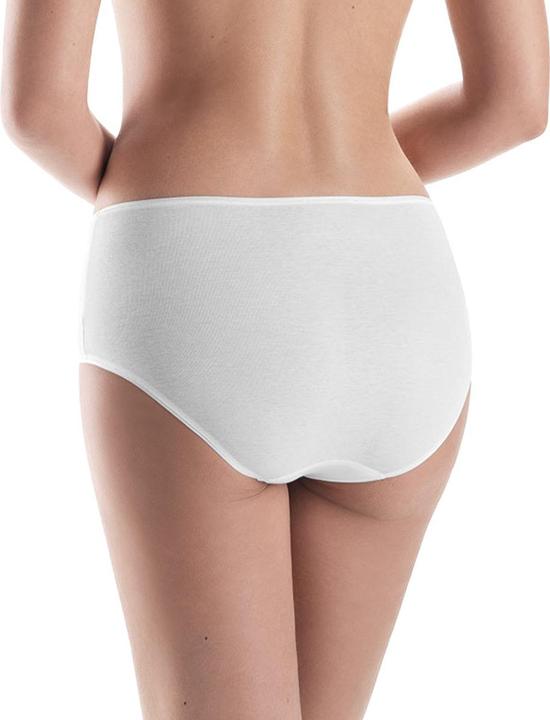 Actual product image Hanro Cotton Seamless Maxi Briefs (M, Single pack)