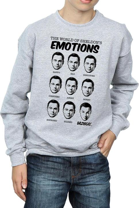 Produktbild Dam Sheldon Emotions Sweatshirt Jungen (140, 146)
