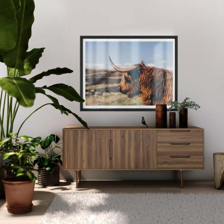 Image du produit Trenddeko Highland Cow 02 (30 x 24 cm)