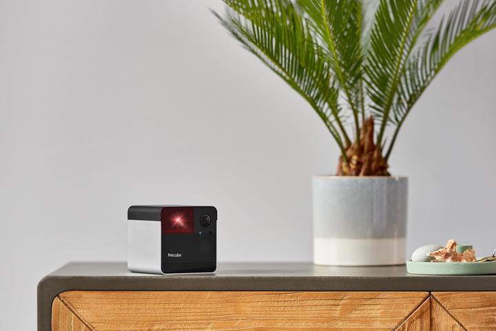 Image du produit Petcube Play 2 Wi-Fi (Jouets avec herbe à chat)