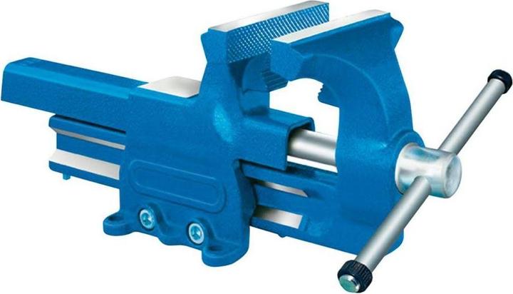 Forum Professional Solutions Etau 120mm avec surface d'enclume (150 mm)