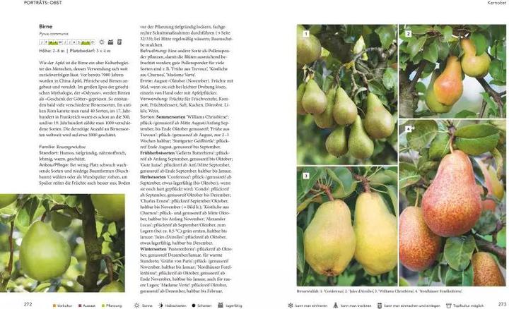 Image du produit Das grosse Buch Selbstversorgung (Allemand, Renate Hudak, Harald Harazim, 2020)