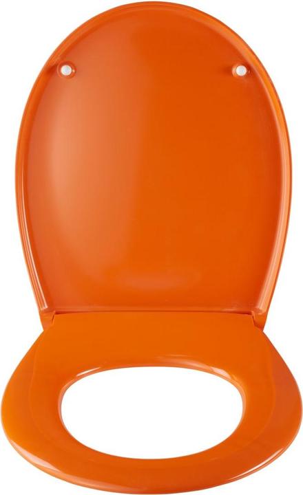 Actual product image Diaqua Colors