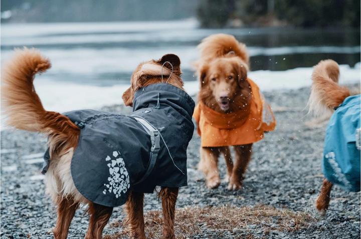 Actual product image Hurtta Monsoon raincoat dark grey (35, XS, Dog raincoat)